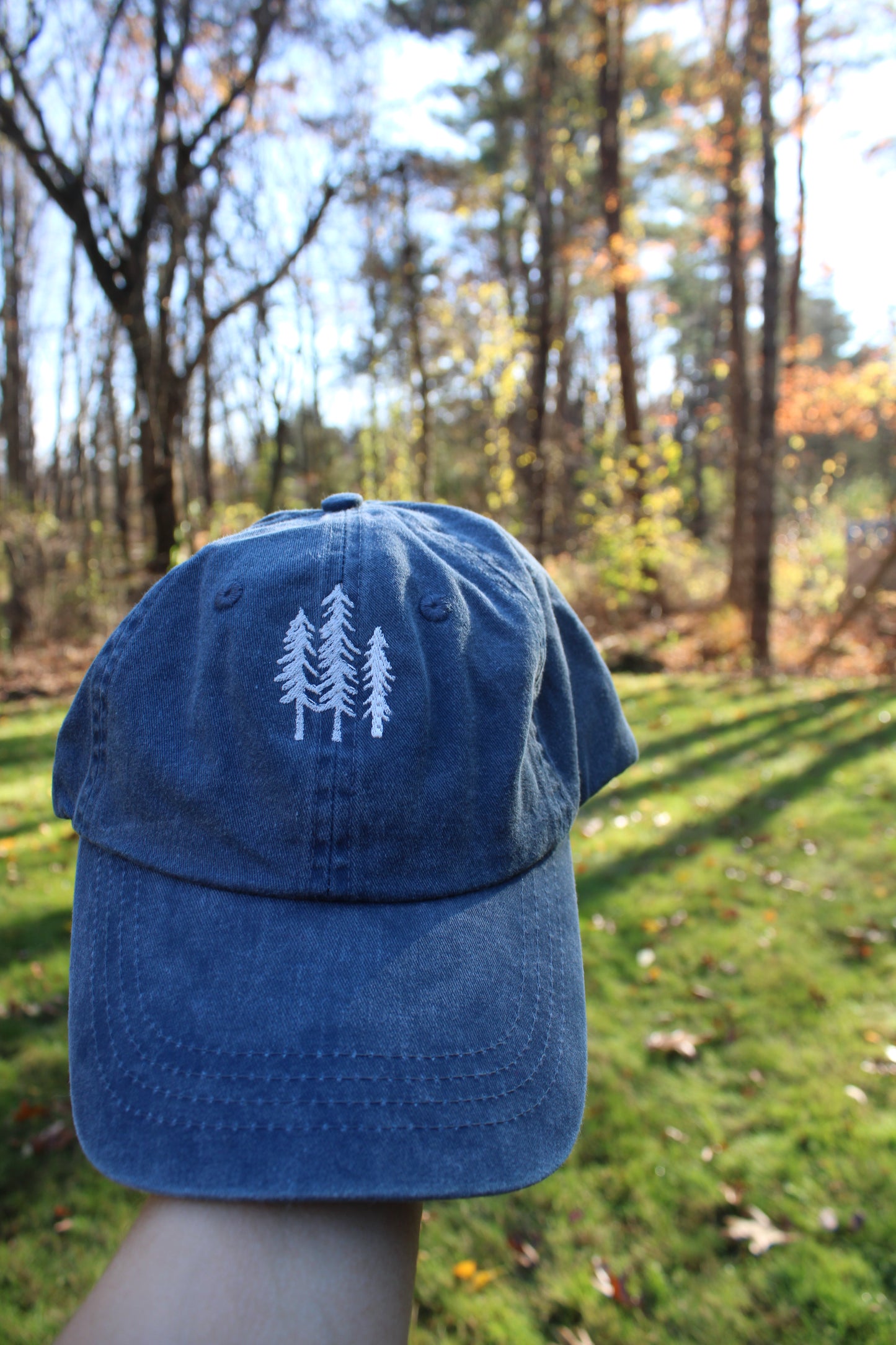 Pine Tree Baseball Hat